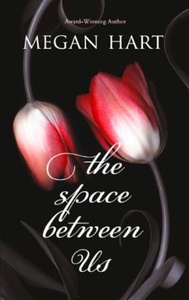 The Space Between Us (ebok) av Megan Hart