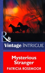 Mysterious Stranger (ebok) av Patricia Rosemo