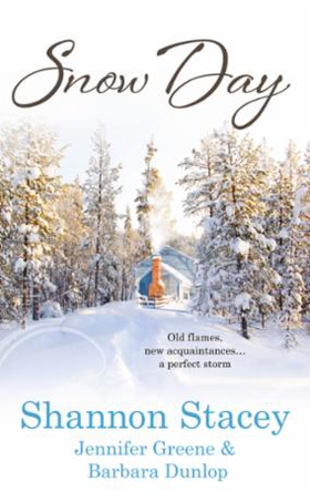 Snow Day (ebok) av Shannon Stacey, Jennifer G