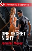 One Secret Night