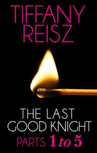 The Last Good Knight (ebok) av Tiffany Reisz