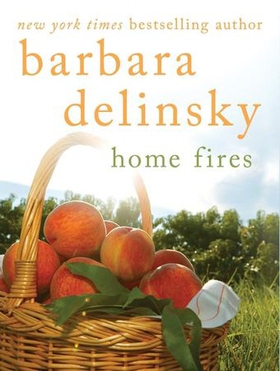 Home Fires (ebok) av Barbara Delinsky