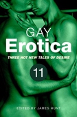 Gay Erotica, Volume 11