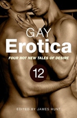 Gay Erotica, Volume 12