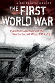 A Brief History of the First World War