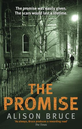 The Promise (ebok) av Alison Bruce