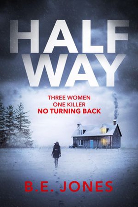 Halfway - A chilling and twisted thriller for a dark winter night (ebok) av B. E. Jones