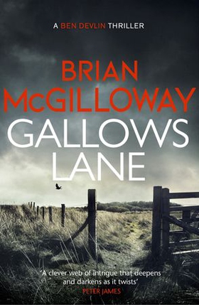 Gallows Lane - An ex con and drug violence collide in the borderlands of Ireland... (ebok) av Brian McGilloway