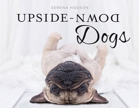 Upside-Down Dogs (ebok) av Serena Hodson