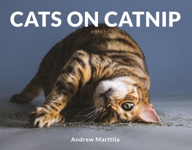 Cats on Catnip (ebok) av Andrew Marttila