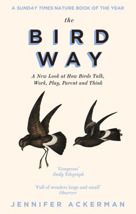 The Bird Way - A New Look at How Birds Talk, Work, Play, Parent, and Think (ebok) av Jennifer Ackerman