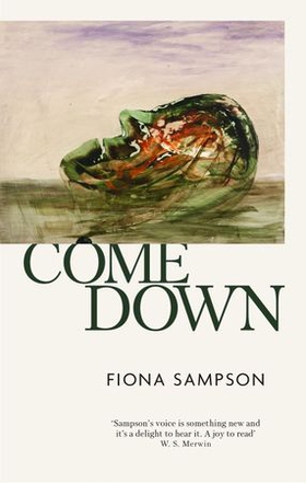 Come Down (ebok) av Fiona Sampson