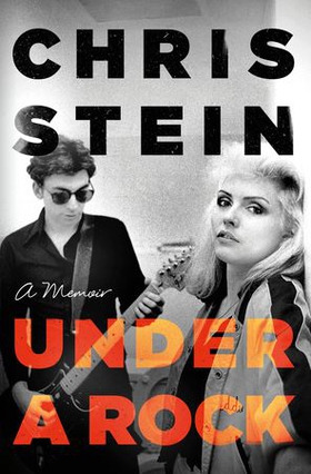 Under A Rock (ebok) av Chris Stein