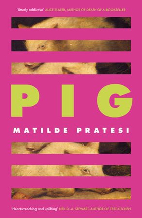 Pig