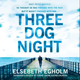 Three Dog Night (lydbok) av Elsebeth Egholm
