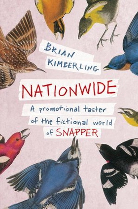Nationwide (ebok) av Brian Kimberling