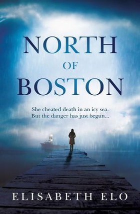 North of Boston (ebok) av Elisabeth Elo