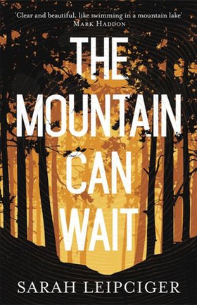 The Mountain Can Wait (ebok) av Sarah Leipciger