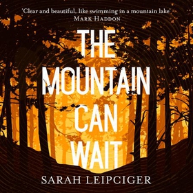 The Mountain Can Wait (lydbok) av Sarah Leipciger