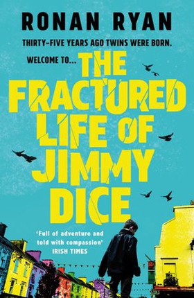 The Fractured Life of Jimmy Dice (ebok) av Ronan Ryan