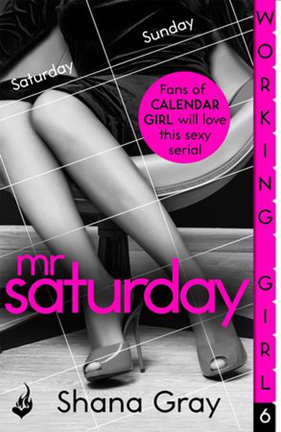 Working Girl: Mr Saturday (A sexy serial, perfect for fans of Calendar Girl)