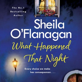 What Happened That Night - A page-turning read by the No. 1 Bestselling author (lydbok) av Sheila O'Flanagan
