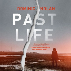 Past Life - an 'astonishing' and 'gripping' crime thriller (lydbok) av Dominic Nolan