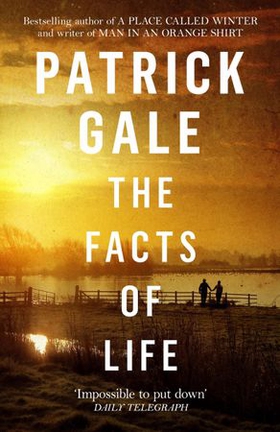 The Facts of Life - An epic, intimate novel of love, music and the life events that stay with us forever (ebok) av Ukjent