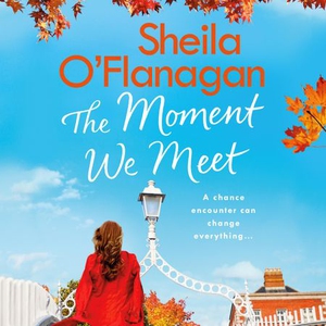 The Moment We Meet (lydbok) av Sheila O'Flana