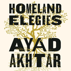Homeland Elegies - A Barack Obama Favourite Book (lydbok) av Ayad Akhtar