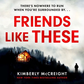 Friends Like These - How well do you really know your friends? (lydbok) av Kimberly McCreight