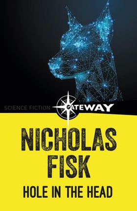 A Hole In The Head (ebok) av Nicholas Fisk