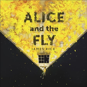 Alice and the Fly - 'a darkly quirky story of love, obsession and fear' Anna James (lydbok) av James Rice