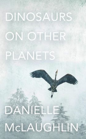 Dinosaurs on Other Planets (ebok) av Danielle McLaughlin
