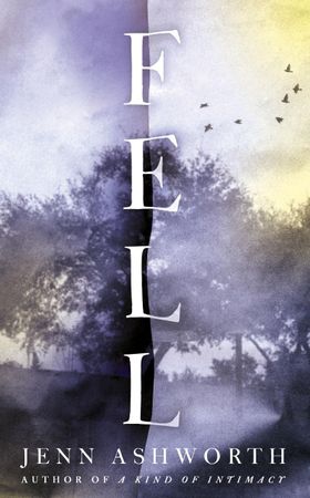 Fell (ebok) av Jenn Ashworth