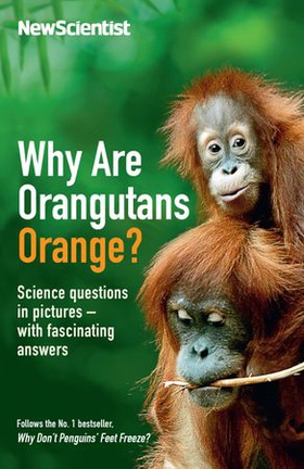 Why Are Orangutans Orange? - Science questions in pictures -- with fascinating answers (ebok) av New Scientist