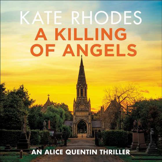 A Killing of Angels