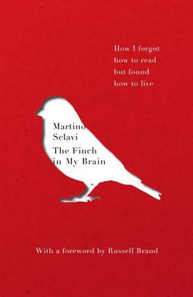 The Finch in My Brain - How I forgot how to read but found how to live (ebok) av Martino Sclavi