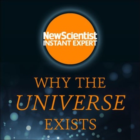 Why the Universe Exists - How particle physics unlocks the secrets of everything (lydbok) av New Scientist