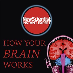 How Your Brain Works - Inside the most complicated object in the known universe (lydbok) av New Scientist