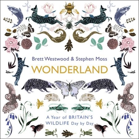 Wonderland