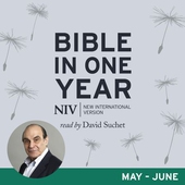 NIV Audio Bible in One Year (May-Jun)