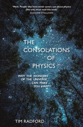 The Consolations of Physics - Why the Wonders of the Universe Can Make You Happy (ebok) av Tim Radford