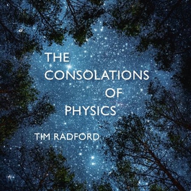 The Consolations of Physics - Why the Wonders of the Universe Can Make You Happy (lydbok) av Tim Radford