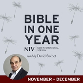 NIV Audio Bible in One Year (Nov-Dec)