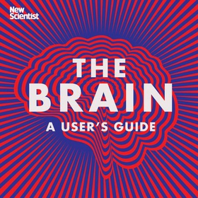 The Brain - Everything You Need to Know (lydbok) av New Scientist