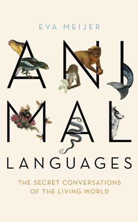 Animal Languages - The secret conversations of the living world (ebok) av Ukjent