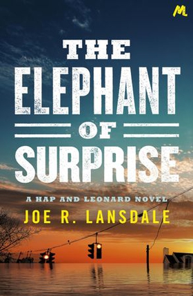 The Elephant of Surprise (ebok) av Joe R. Lansdale
