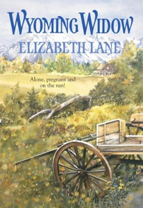Wyoming Widow (ebok) av Elizabeth Lane
