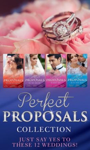 Perfect proposals collection (ebok) av Ally B